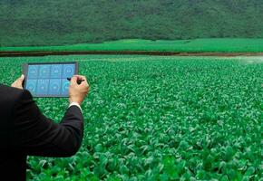 Man holding a tablet using technology to monitor vegetable growth photo