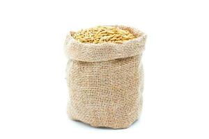 Rice of paddy Golden yellow in a sack on a white background photo