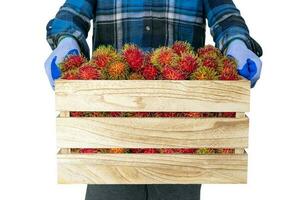 rambután Fruta en de madera caja y jardineros foto