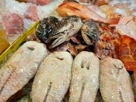 Fresh fish in ice trays in the fresh market photo