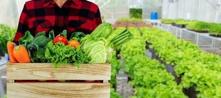 A gardener holds a wooden crate with various organic vegetables. vegetable garden background photo