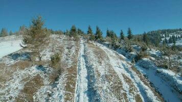 Aerial view of snow covered trees in the mountains in winter. Village at the foot of the mountain. Filmed on FPV drone video