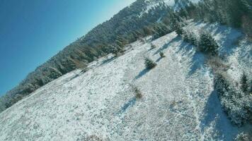 Aerial view of snow covered trees in the mountains in winter. Village at the foot of the mountain. Filmed on FPV drone video