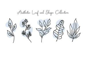 Aesthetic Leaf Line Art with Abstract Shape vector