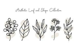 Aesthetic Leaf Line Art with Abstract Shape vector