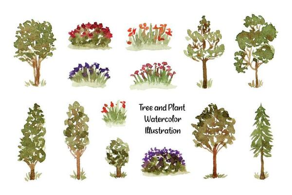 Cute Tree, Grass, and Lawn Watercolor Collection