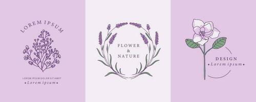 lavender and magnolia design with curve line shape vector