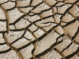 Dry and cracked soil or sediment of the treatment pond photo