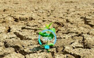 The concept of increasing the oxygen in the air by planting trees ecology o2 photo