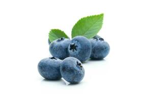 Blueberry fruit on a white background photo