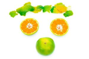 Shogun oranges fruit on a white background photo