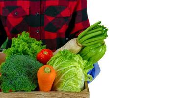 Gardener vegetables hold in wooden crate radish, tomato, carrot, chinese cabbage, broccoli, bitter gourd, chinese kale on a white background photo