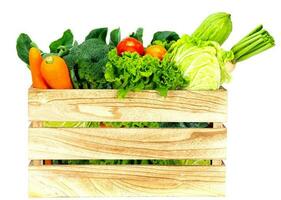 Assorted vegetables radish, tomato, carrot, chinese cabbage, broccoli, bitter gourd, chinese kale on a white background photo