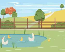 Flat cartoon illustration of a nature landscape with ducks swimming in the pond. vector