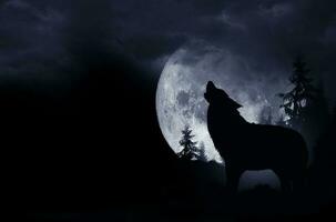 Howling Wolf Background photo