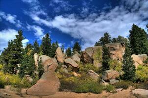 Colorado nacional bosque foto