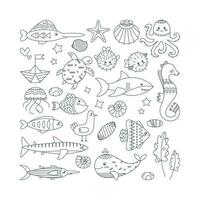 Set of marine elements algae, whale, shark, fish, seahorse, shells, jellyfish. Line art. vector