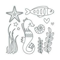 Set of marine elements of fish, shells, seaweed in flat cartoon style. Line art. vector