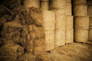 Farm Hay Storage Facility photo