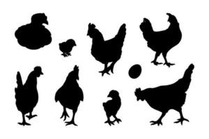 Hen or chicken silhouette set isolated in white background. Free grazing hen bird in the runch vector