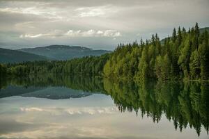 Scenic Nordland County Norway photo