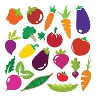 vegetables icons over white background. colorful design. vector illustration