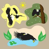 Bald eagle and seagull in the forest. Vector illustration