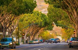 Santa Barbara Street photo