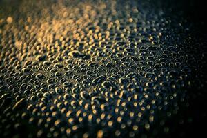 Water Drops on Car Body photo