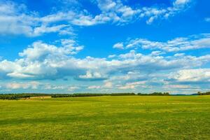 English Countryside Meadow photo