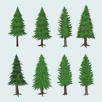 Pine tree vector by hand drawing. Pine tree vector on white background.  Birch, pine, fir-tree. Vector Pine tree by hand drawing.