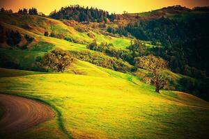 Northern California Countryside photo