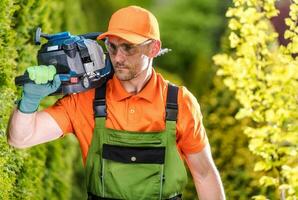 Hedge and Trees Trimming photo