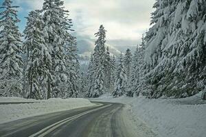 Tatra Mountain Snowy Road photo