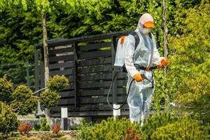 profesional jardinero sin peligro pulverización pesticidas en jardín plantas foto