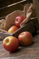 Apples in Wood Crate photo