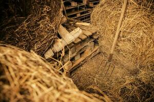 Storage Barn and Pitchfork photo