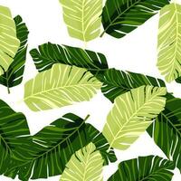 Abstract exotic plant seamless pattern. Botanical leaves wallpaper. Tropical pattern backdrop with palm leaf and floral motifs. vector