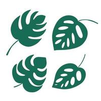 Different kinds monstera leaves set. Flat style mostera leaves set vector