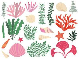 Vector underwater seaweed set. Different kinds corals, algae and sea shells set