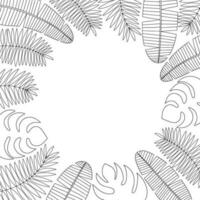 Tropical leaves sketch frame for text. Black and white different tropical leaves on white background vector
