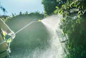 Gardener Insecticide Job photo