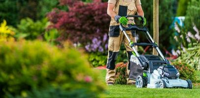 Summer Time Lawn Mowing in Colourful Blooming Garden photo