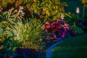 Garden Night Time Lighting photo