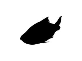 Catla or Katla Fish, also known as the major South Asian Carp, Silhouette for Icon, Symbol, Logo Type, Pictogram, Apps, Website or Graphic Design Element. Vector Illustration