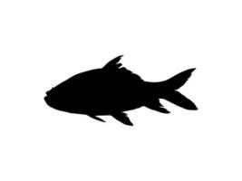 Catla or Katla Fish, also known as the major South Asian Carp, Silhouette for Icon, Symbol, Logo Type, Pictogram, Apps, Website or Graphic Design Element. Vector Illustration