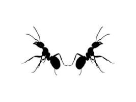 Pair of the Ant Silhouette for Art Illustration, Logo, Pictogram, Website, or Graphic Design Element. Vector Illustration