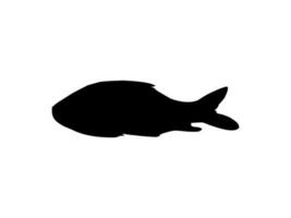 Catla or Katla Fish, also known as the major South Asian Carp, Silhouette for Icon, Symbol, Logo Type, Pictogram, Apps, Website or Graphic Design Element. Vector Illustration