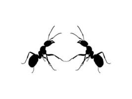 Pair of the Ant Silhouette for Art Illustration, Logo, Pictogram, Website, or Graphic Design Element. Vector Illustration