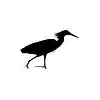 The Black Heron Bird, Egretta Ardesiaca, also known as the Black Egret Silhouette for Art Illustration, Logo, Pictogram, Website, or Graphic Design Element. Vector Illustration